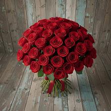 Букет 55 Красных роз Фридом #REPLACE_PRED# Глазынино