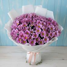 Букет цветов из:  Хризантемы #REPLACE_PRED# Глазынино