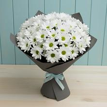 Букет цветов из:  Хризантемы в Глазынино