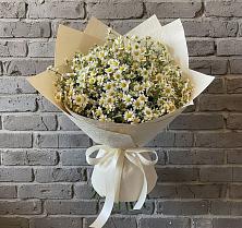 Букет цветов из:  Ромашки #REPLACE_PRED# Глазынино