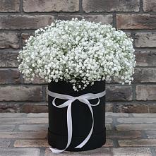 Цветочная композиция из Гипсофила в шляпной коробке в Глазынино