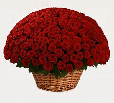 Премиум букет из: Розы в Глазынино